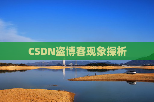 CSDN盗博客现象探析